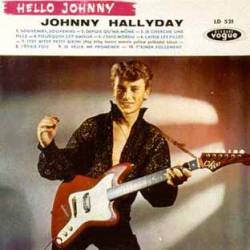 Johnny Hallyday : Hello Johnny